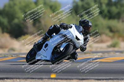 media/Nov-12-2023-SoCal Trackdays (Sun) [[5d1fba4e7d]]/Turn 7 (1150am)/